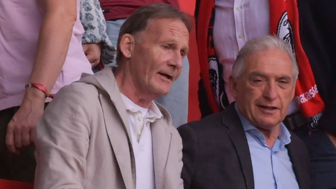 Bvb: watzke droht kampfkandidatur kicker