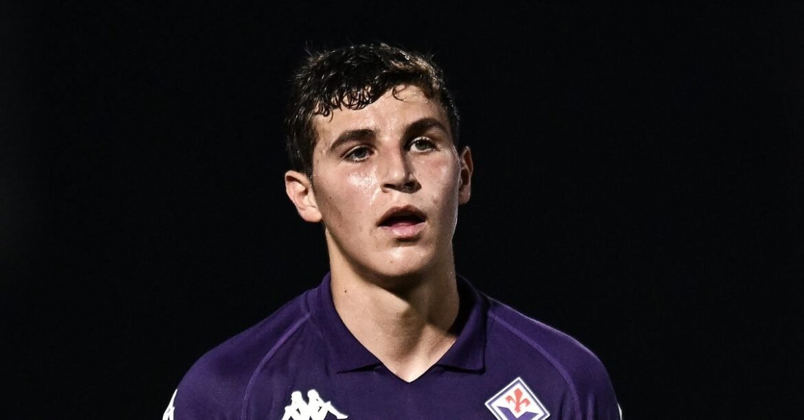 Roundup van leenlee: outside italië viola nation