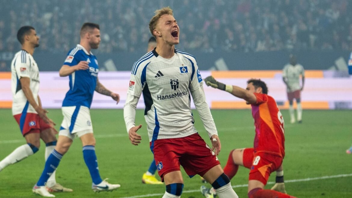 Hsv: zweite chance für karabec