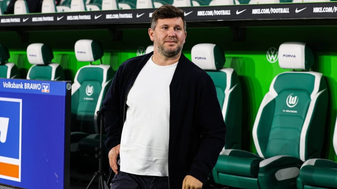 TSG Hoffenheim: Skuriles Tauziehen en Andreas Schicker